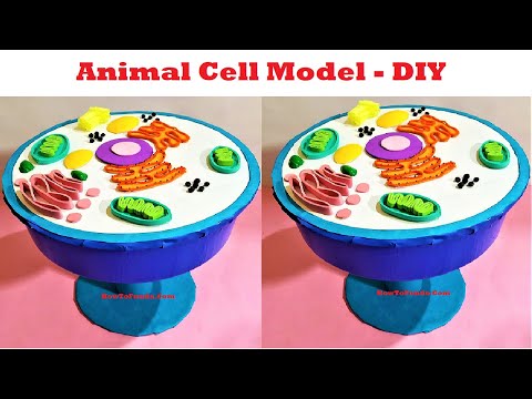 How to Make an Animal Cell Model 3D Project for Science Exhibition | How to Make Animal cell model