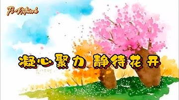 Pi Network 凝心聚力，静待花开 #pi #picoin #pipayment #piconsensus #web3 #blockchain