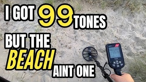 NEW Simplex Ultra | Beach Metal Detecting