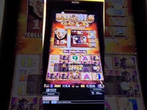 Great Rhino Greatest win #slots #onlinecasin