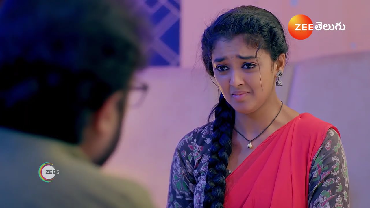 Meghasandesam | ఇల్లరికం ఉండే అల్లుడిని భూమి కోసం తెస్తానన్న శరత్ చంద్ర