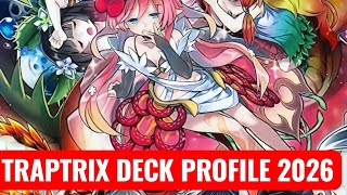 🌱 TRAPTRIX DECK PROFILE 2026 | #YuGiOh #Traptrix #DeckProfile #YuGiOhTCG #competitiveyugioh 
