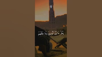 قران كريم🌿راحة نفسية حالات واتس اب قرآن // أيات قرانية قصيرة // حالات واتس اب أية الكرسي