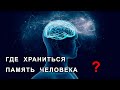 Как устроена память человека? - Вы должны это знать