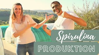 SPIRULINA ALGEN-FARM in Deutschland ▶ AKAL FOOD ▶Hier wachsen Algen in ROHKOST-QUALITÄT ▶LIVE-BESUCH