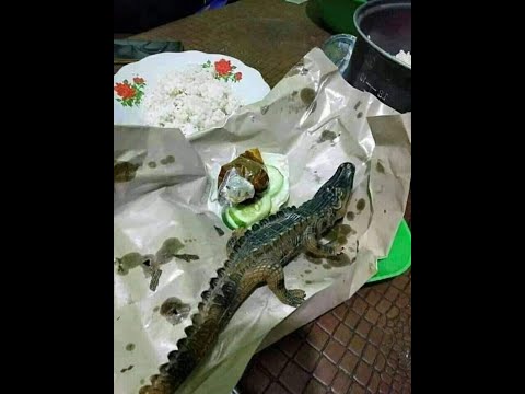 JANGAN LUPA MAKAN