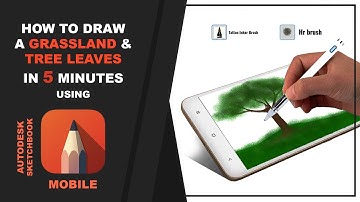 How to draw Grassland and Tree leaves in 5 minutes | Autodesk sketchbook | Moto g5s plus