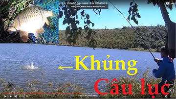Câu lục lên chép khủng và pha đứt dây tiếc nuối | Câu cá tự nhiên hồ Đăk Krung - Đăk Nông tập 1