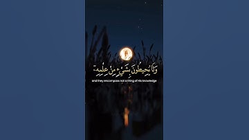 #آية_الكرسي#البقرة#اذكار#اذكار_الصباح#اذكار_المساء#اسلام#تلاوة#القرآن_الكريم#ذكر_الله#اية_الكرسي