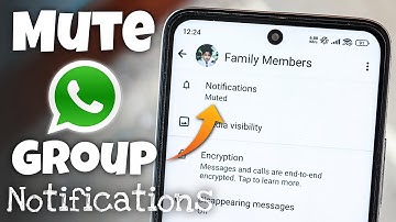 How to Mute Group Notifications in WhatsApp