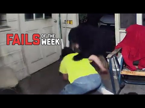Bear Attacks Man – Best Fails Of The Week