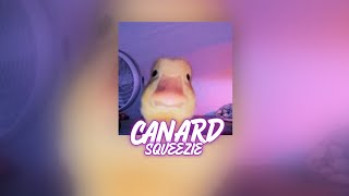 Nightcore ✗ Canard - Squeezie (Lyrics)