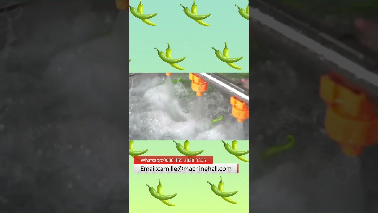 Automatic Green Chilli Pepper Vegetable Washing Machine