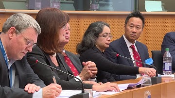 Opening by Patrizia Toia - Member EU Parliament