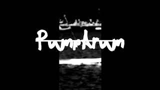 Raging Apes - Pumparum
