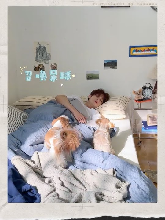 檀健次-和呆球一起proof