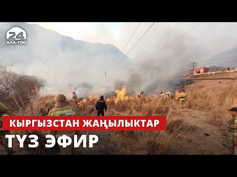 Кыргызстан жаңылыктары |