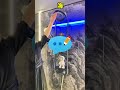 どのバスタブを選ぶ？ #shorts