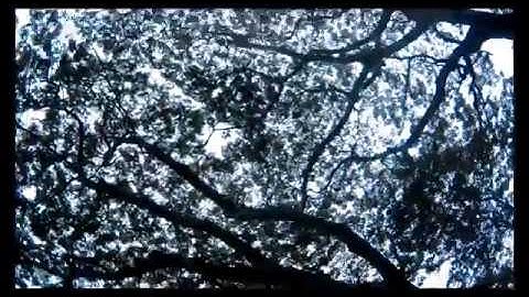 Old CC3D with Betaflight 3.2