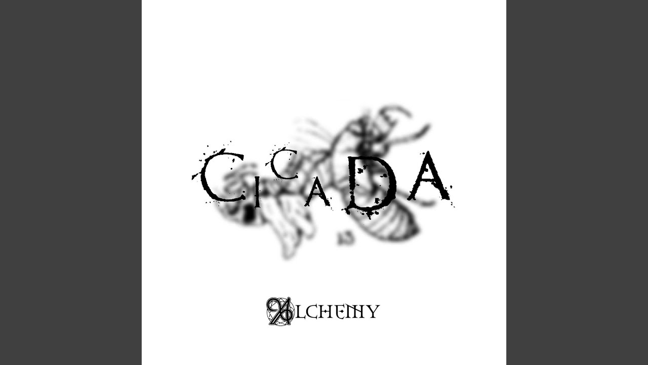 Watch Cicada on YouTube Watch Cicada on YouTube