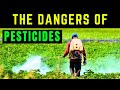 The Dangers Of Pesticides Protecting Yourself And The Environment