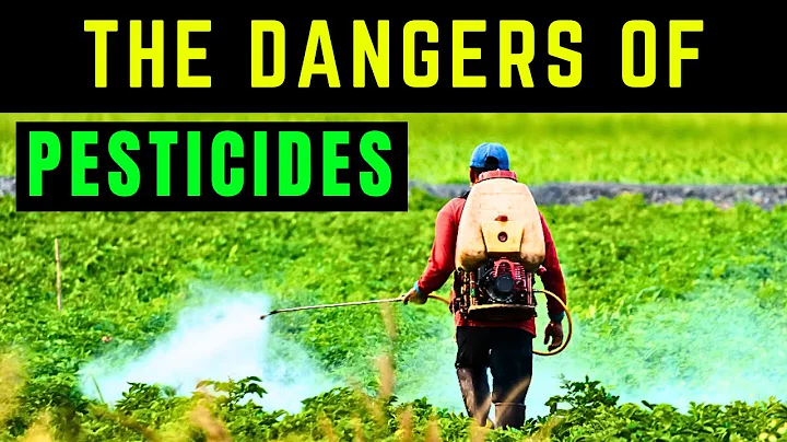 The Dangers of Pesticides: Protecting Yourself and the Environment - DayDayNews