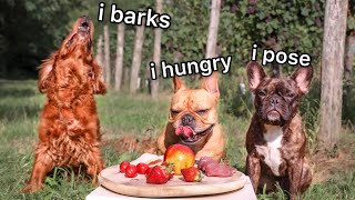 Vineyard Food Review With 3 Crazy Dogs by Isa, Hugo & Tom French Bulldog 9,439 views 2 years ago 4 minutes, 16 seconds