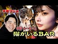 【中野】猫がいるBARに行ったら沼だった