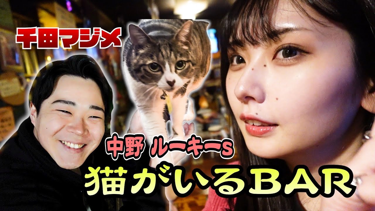 Yuji Ashik… の描いた猫　BARで飲む猫(人) 中野】猫がいるBARに行ったら沼だった - YouTube