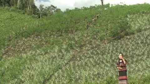 Nhac Tay Giang 6. Tinh-VP.HDND&UBND Tay Giang