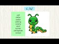 Letter C / Soft C Words / Phonics / ce ci cy