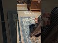 سورہ المائدہ آیت نمبر 105 Quran Islamicshorts Shortvideo Viral Staus Qurantranslation Quran سورہ المائدہ آیت نمبر 105 Quran Islamicshorts Shortvideo Viral Staus Qurantranslation Quran