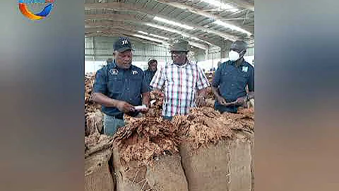 Media and stakeholders tour of Japan Tobacco International (JTI) Baobab buying floor.