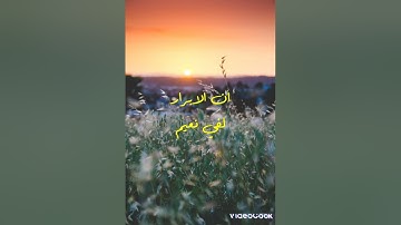 ان الابرار لفي نعيم تلاوة تقشعر لها البدن شريف مصطفى.