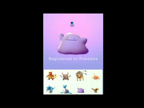 Pokemon Go: Caught A Ditto + Gym Battle