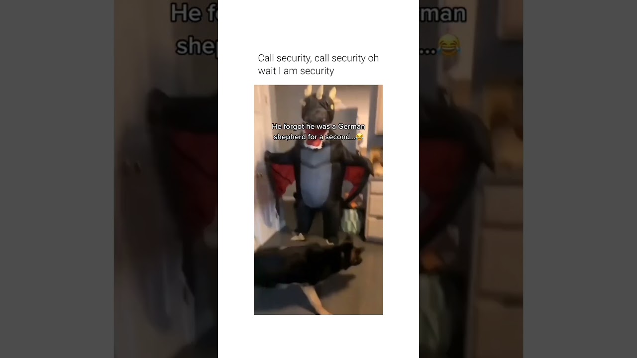 Bro said “hol up.. IM THAT DAWG" (dog.casm/ins) 