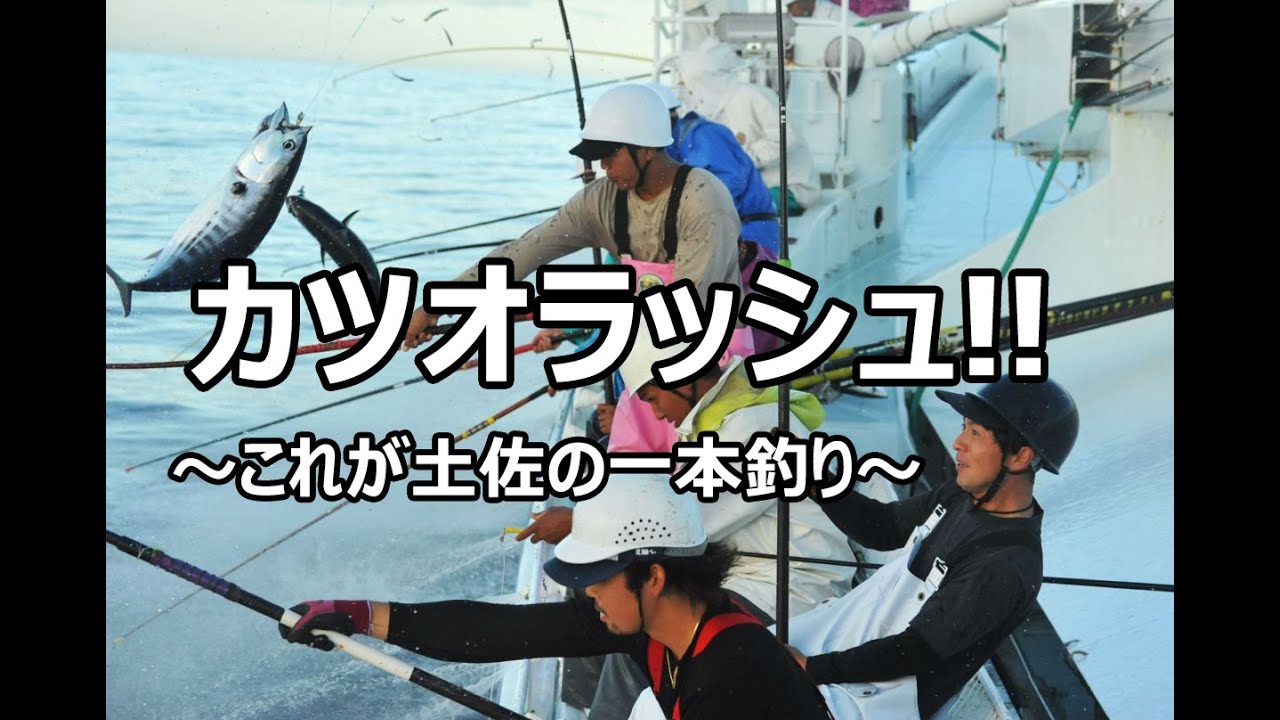 レア 毎日発送 土佐の一本釣り 全25巻 送料無料 即購入可 全巻 鰹 カツオ 楽天市場】冷凍していない生鰹 土佐久礼 日戻り 完全藁焼き生鰹たたき