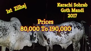 Cow Mandi 2017 | Karachi Sohrab Goth Mandi 2017 | Video 29
