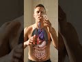 The Bad Effects of Beer &amp; Smoking on the Human Body | 3D Health Animation