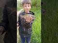 мой #улов за вчера. #рыбалка #fishing #поплавок #опарыш #червь #лещ #под лещ #подлещик #карась