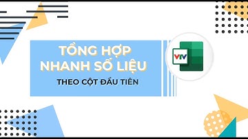 Tổng hợp số liệu trên Excel với MyVTV