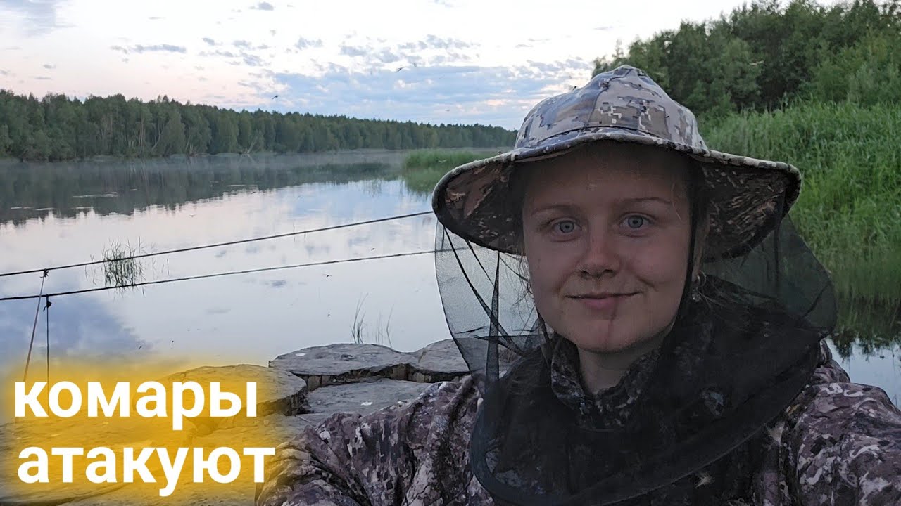 Ильины влог на дзен новое