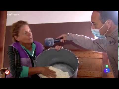 V&Iacute;DEO Pastores y queseros de On&iacute;s en Espa&ntilde;a Directo de TVE