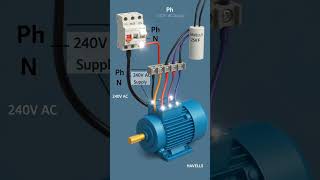 Single Phase Motor Control Circuit Animation | Easy Starter Wiring Explained #motorcontroller