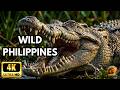 PHILIPPINES WILD: Secrets of the Hidden Kingdom | Full Wildlife Documentary [4K]