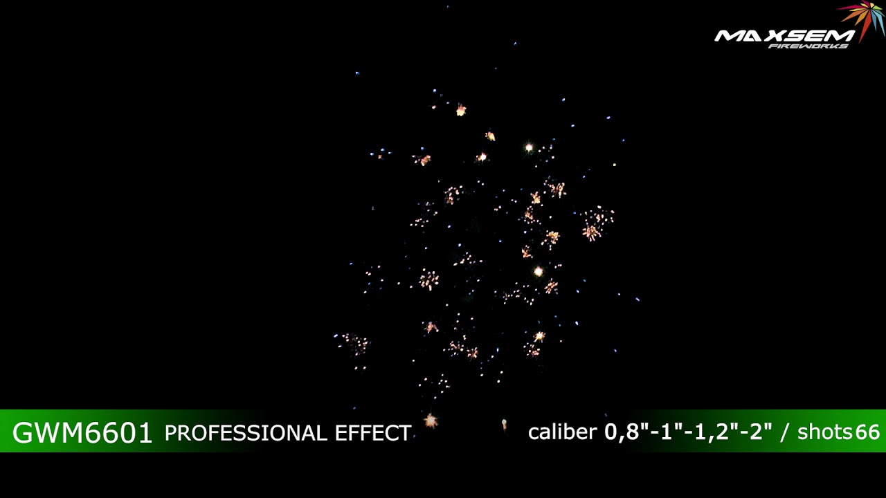 PROFESSIONAL EFFECT GWM6601