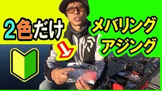 【メバル/アジ】ワームはこの２色を用意してください。【入門/初心者のためのライトゲーム講座】