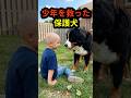余命宣告の少年を救ったのは、一匹の保護犬でした #保護犬 #感動する話 #奇跡の物語