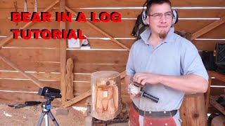 $40 bear in log tutorial