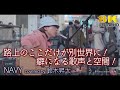 【 8K 】路上のここだけが別世界に!癖になる歌声と空間! NAVY / 上野大樹(cover)" 鈴木昇太 " 新宿路上ライブ 8K映像